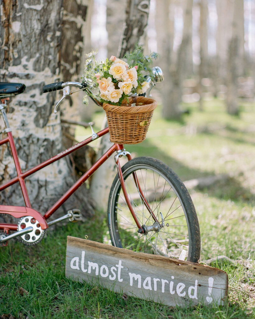 Bicycle with almost married sign